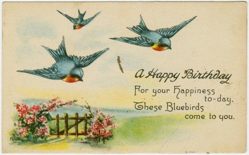 Vintage Birthday Bluebirds Greeting Card | Edwardian Era